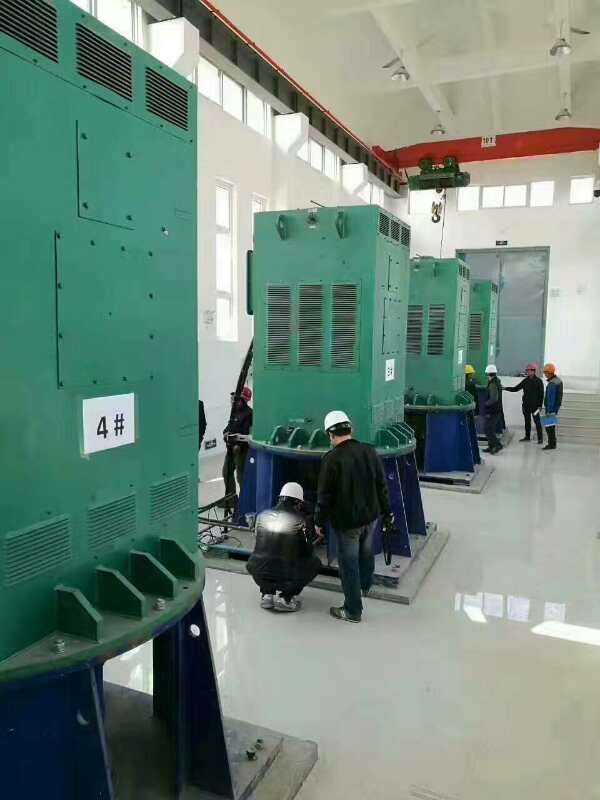 金东某污水处理厂使用我厂的立式高压电机安装现场品质保证